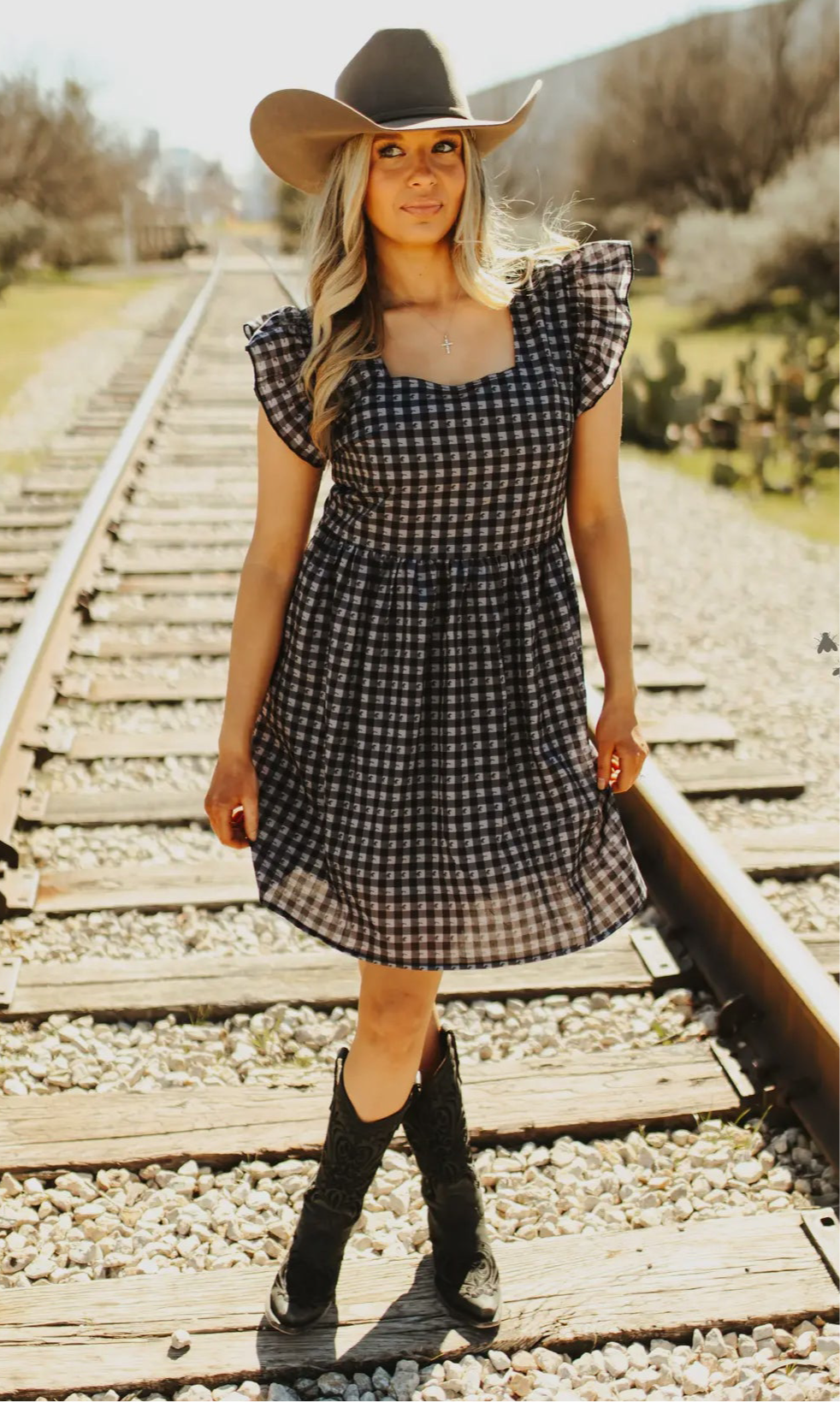 HOLD YER HORSES DRESS 🐴